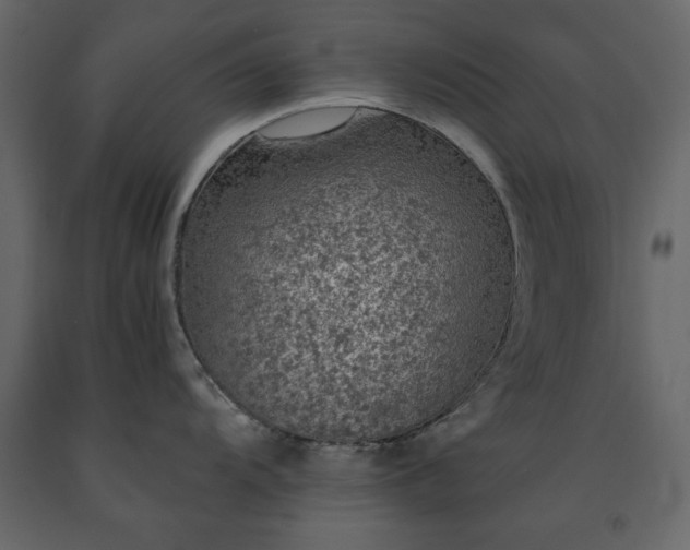 X0000091551104200708241749