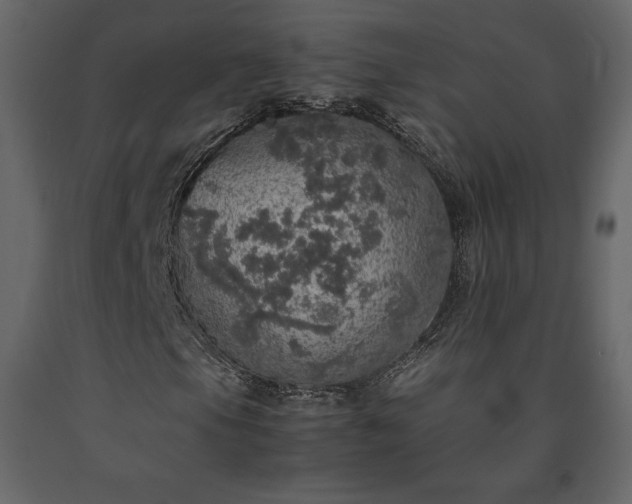 X0000091551105200708241749