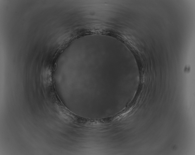 X0000091551106200708241749