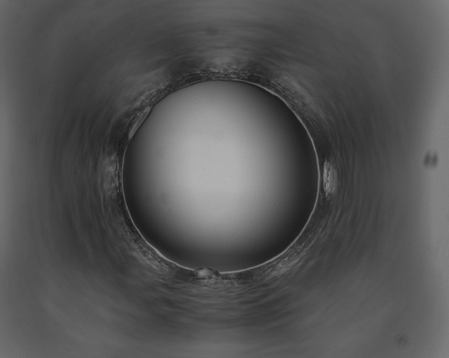 X0000091551107200708241749