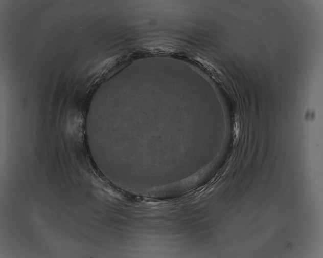 X0000091551108200708241749
