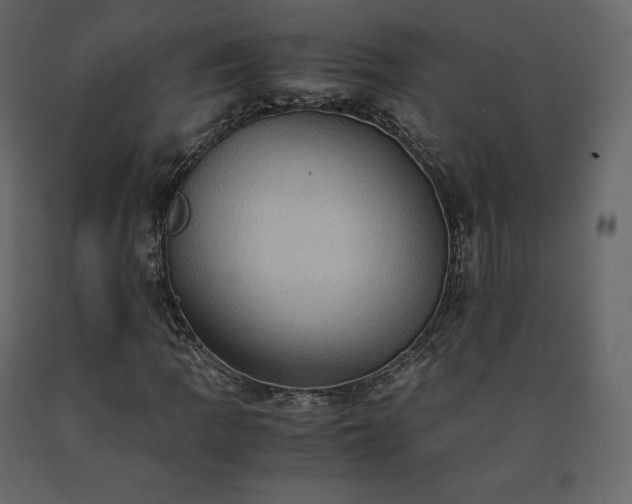 X0000091551109200708241749
