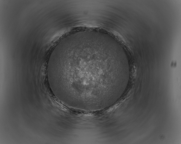 X0000091551110200708241749