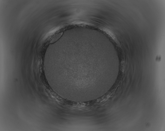 X0000091551111200708241749