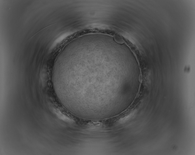 X0000091551112200708241749