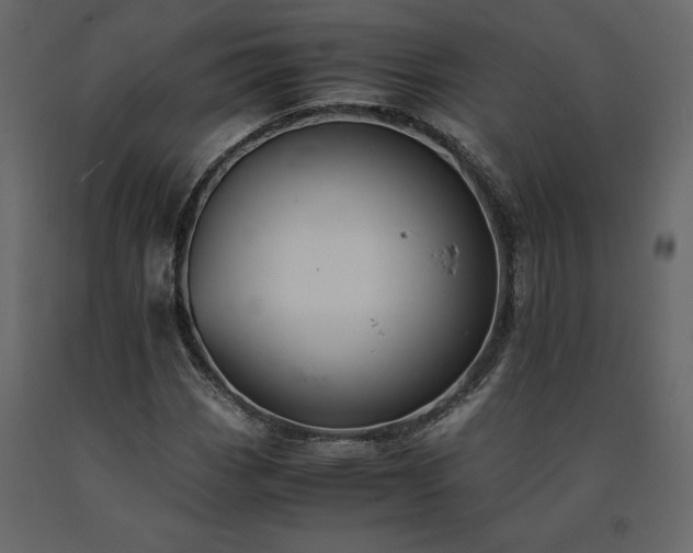 X0000091551113200708241749