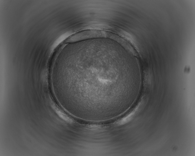 X0000091551114200708241749