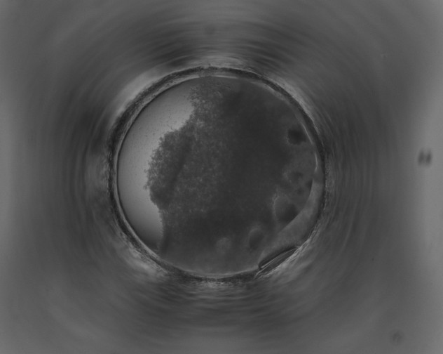 X0000091551115200708241749