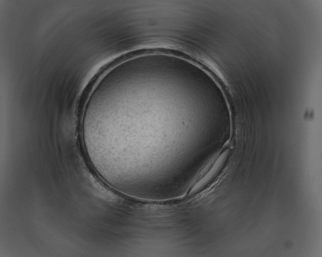X0000091551116200708241749