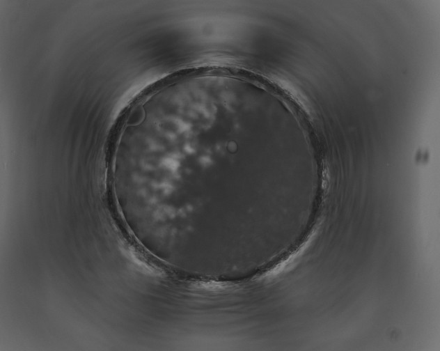 X0000091551117200708241749