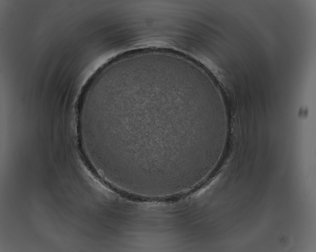 X0000091551118200708241749