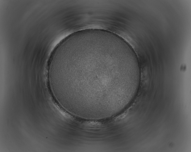X0000091551119200708241749