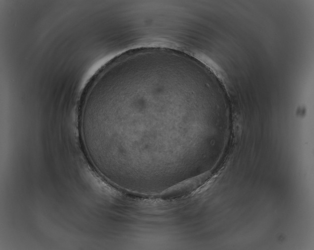 X0000091551120200708241749