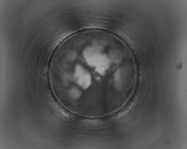 X0000091551121200708241749