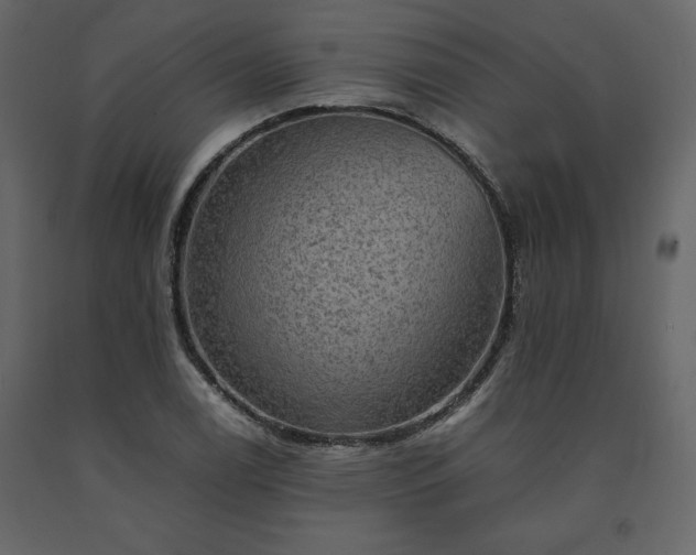 X0000091551122200708241749