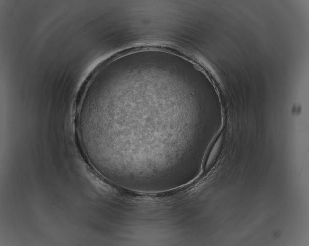 X0000091551124200708241749