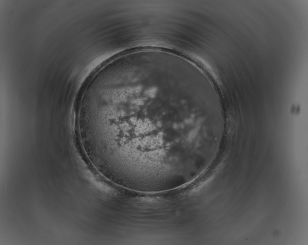 X0000091551125200708241749