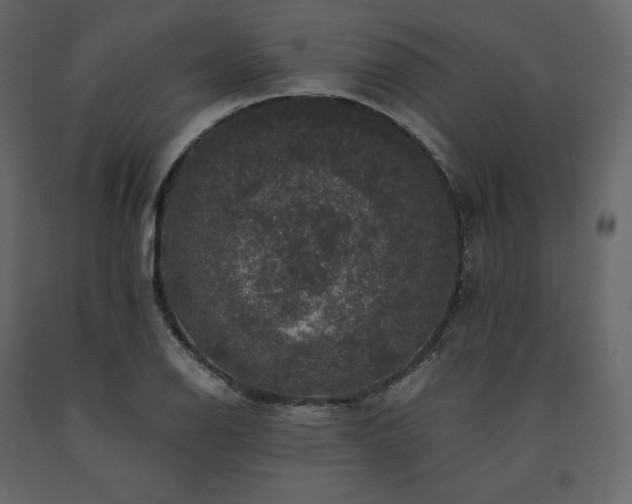 X0000091551126200708241749