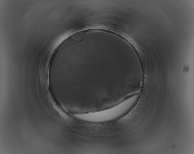 X0000091551127200708241749