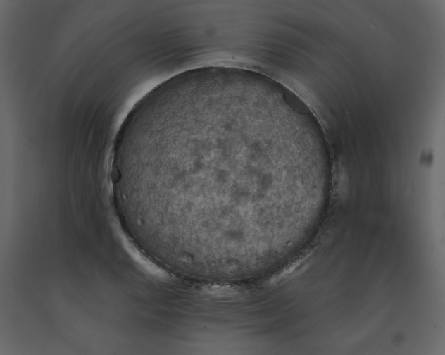 X0000091551128200708241749