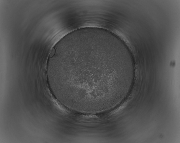 X0000091551129200708241749