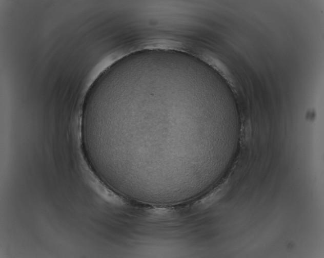 X0000091551130200708241749