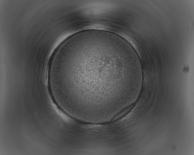 X0000091551131200708241749