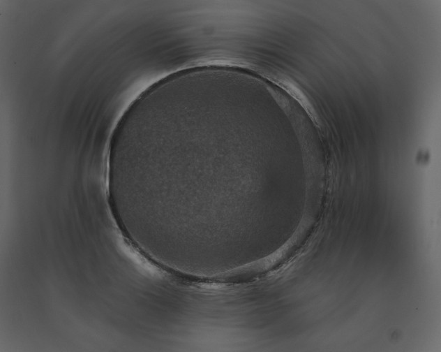 X0000091551132200708241749