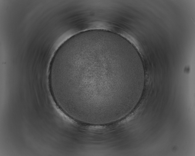 X0000091551135200708241749