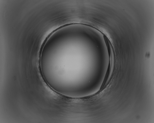 X0000091551136200708241749
