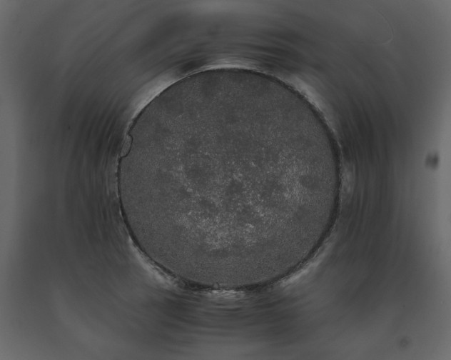 X0000091551137200708241749