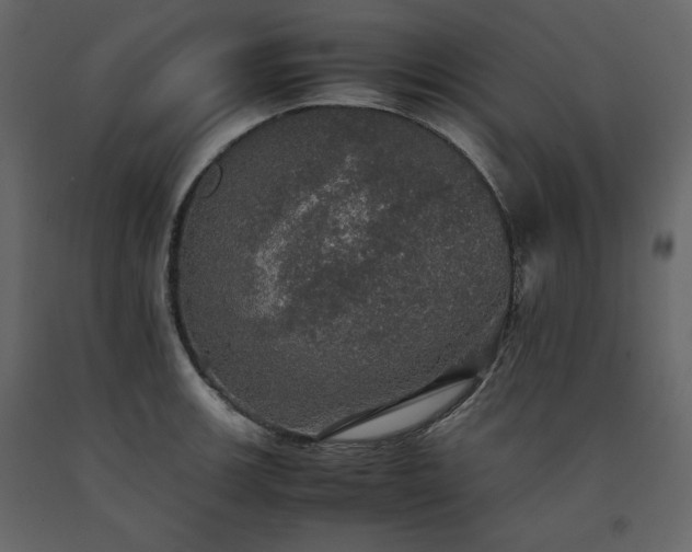 X0000091551139200708241749
