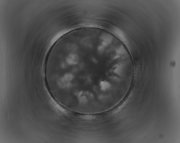 X0000091551141200708241749