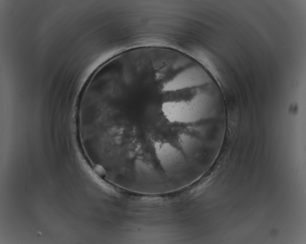 X0000091551142200708241749