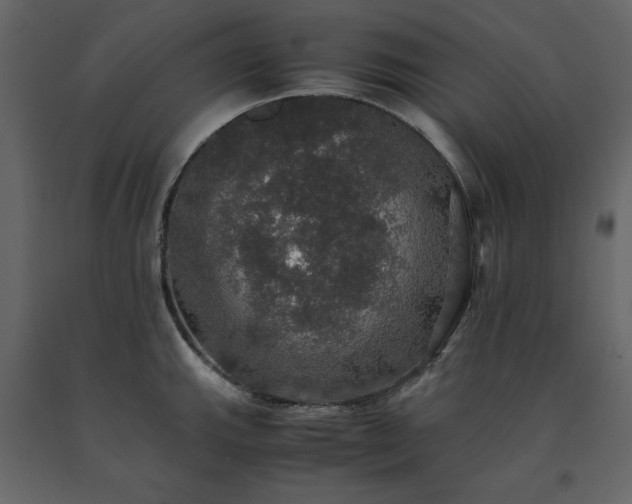 X0000091551143200708241749