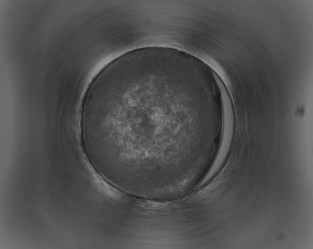 X0000091551144200708241749