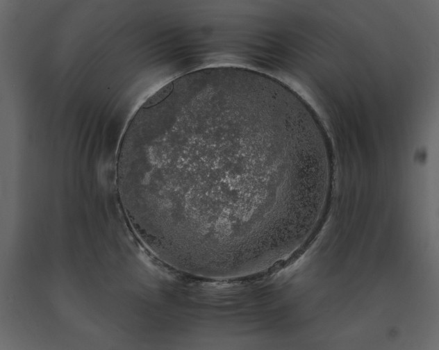 X0000091551145200708241749