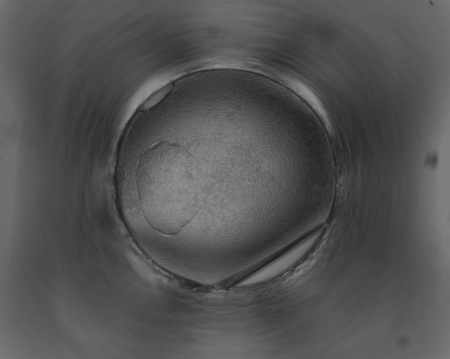 X0000091551146200708241749
