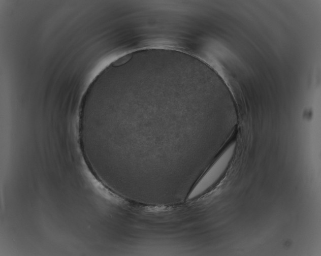 X0000091551147200708241749