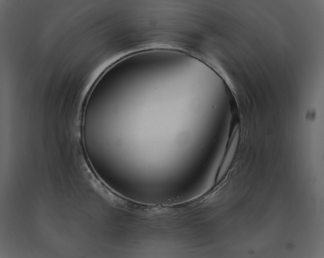 X0000091551148200708241749