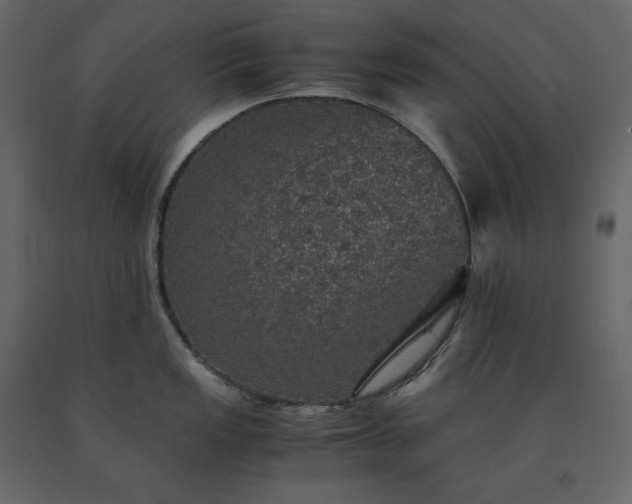 X0000091551149200708241749