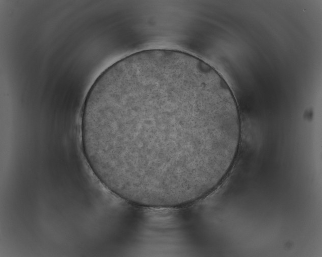 X0000091551150200708241749