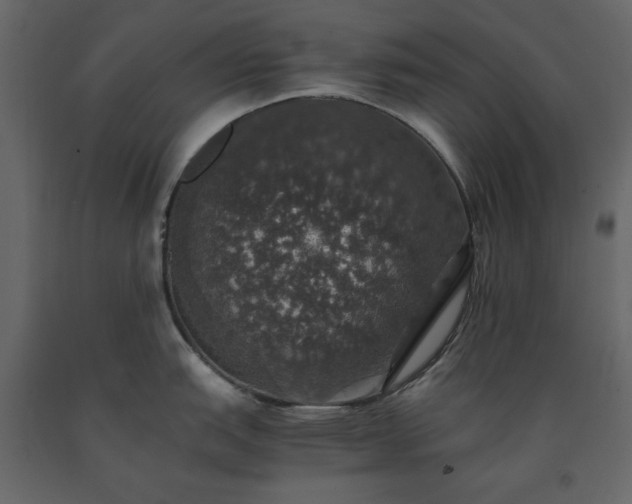 X0000091551151200708241749