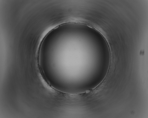 X0000091551152200708241749