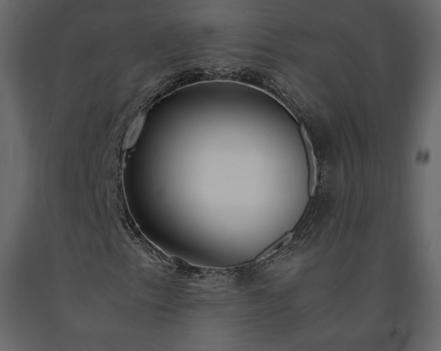 X0000091551153200708241749