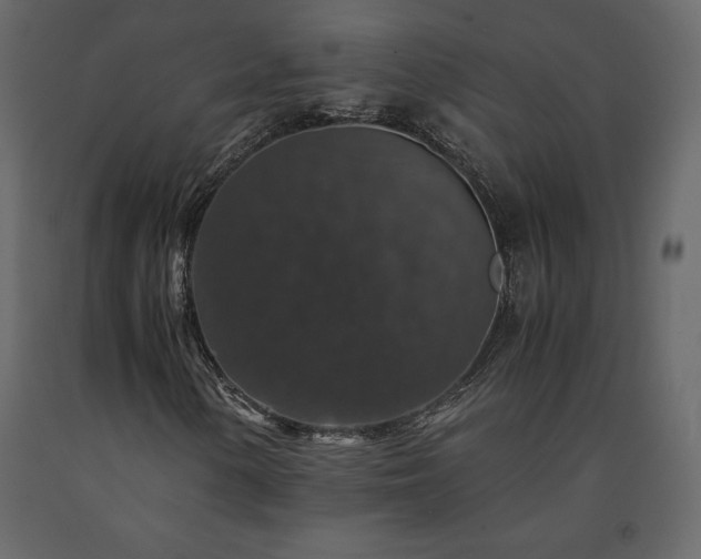 X0000091551154200708241749