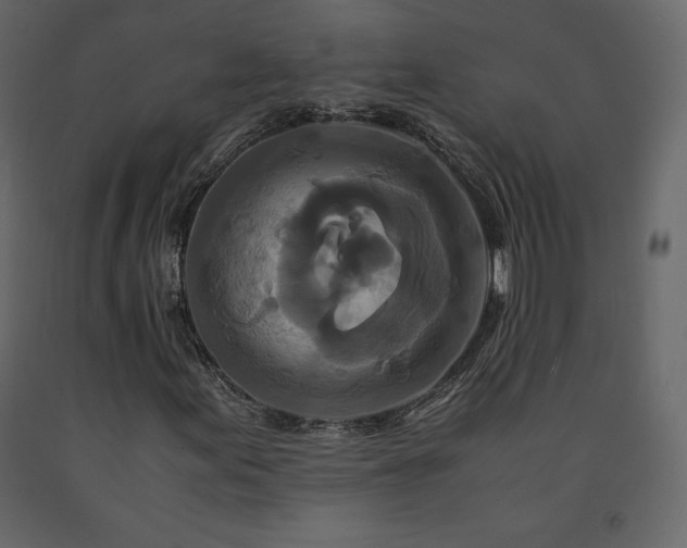 X0000091551155200708241749