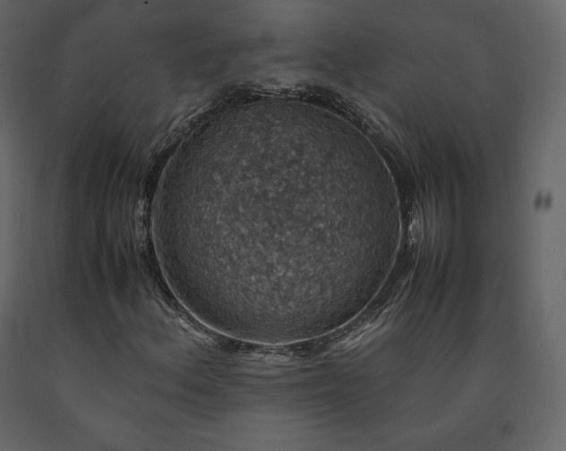 X0000091551156200708241749