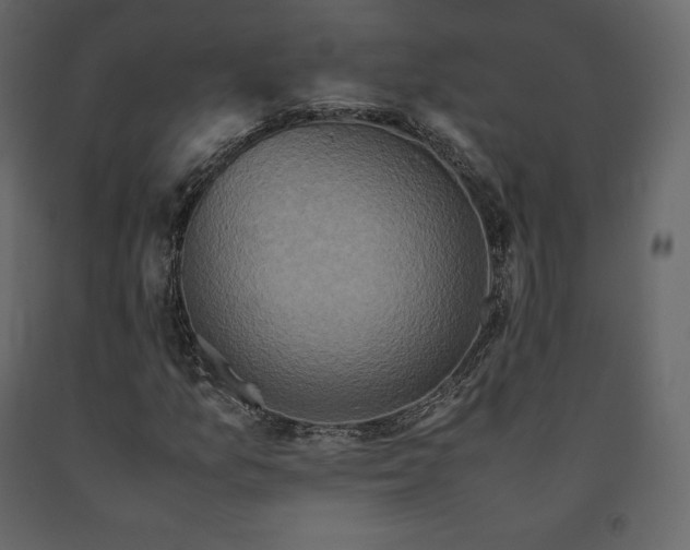 X0000091551157200708241749