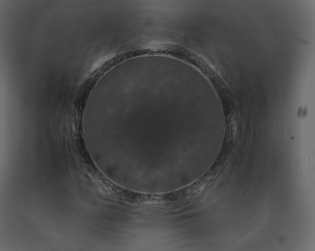 X0000091551158200708241749